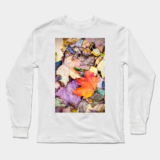 Fallen Leaves Long Sleeve T-Shirt